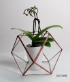 6 (2).JPG