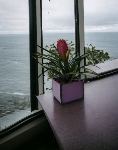 312aa66ba0f092ac3b5b798fba1d1fe8-Photoroom-Photoroom (2).jpg