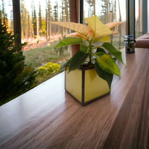 Projekt bez nazwy (20)-Photoroom (5).jpg