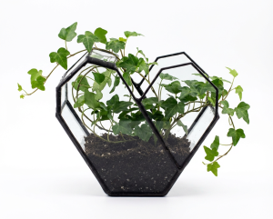 Doniczka geometryczna, terrarium  serce małe w czarnej patynie