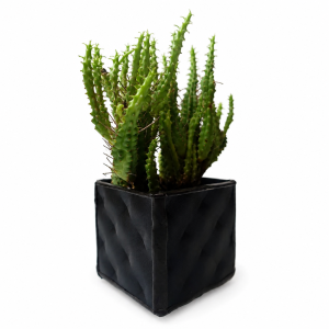 Osłona doniczki lutowana lacobel ornamentowy soft czarny w czerni 