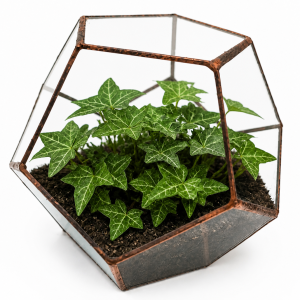 Doniczka geometryczna,terrarium  dwunastościan miedziany, rozmiar L