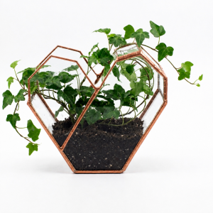 Doniczka geometryczna,terrarium  serce małe patyna miedziana